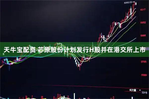 天牛宝配资 芯原股份计划发行H股并在港交所上市