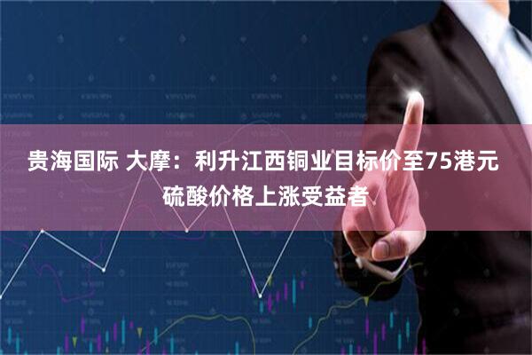 贵海国际 大摩：利升江西铜业目标价至75港元 硫酸价格上涨受益者