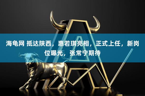海龟网 抵达陕西，惠若琪亮相，正式上任，新岗位曝光，张常宁期待