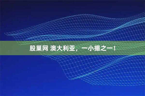 股巢网 澳大利亚，一小撮之一！