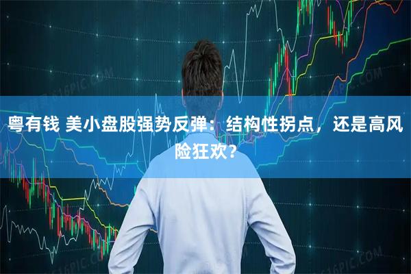 粤有钱 美小盘股强势反弹：结构性拐点，还是高风险狂欢？