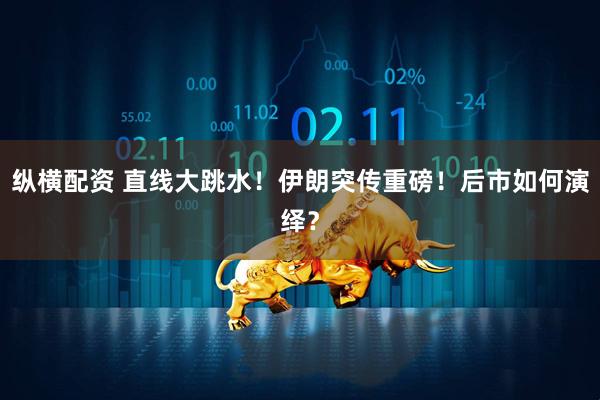 纵横配资 直线大跳水！伊朗突传重磅！后市如何演绎？