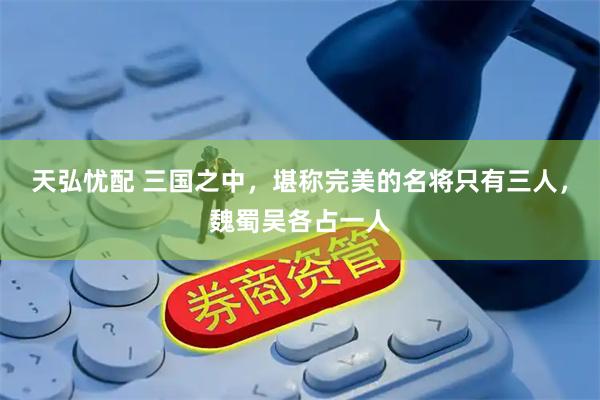天弘忧配 三国之中，堪称完美的名将只有三人，魏蜀吴各占一人