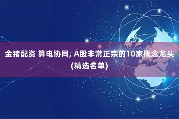 金猪配资 算电协同, A股非常正宗的10家概念龙头(精选名单)