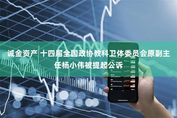 诚金资产 十四届全国政协教科卫体委员会原副主任杨小伟被提起公诉