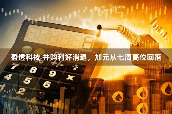 盈透科技 并购利好消退，加元从七周高位回落